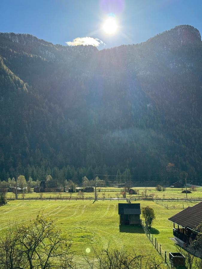 Haus Edelweiss Hotel Obertraun Kültér fotó